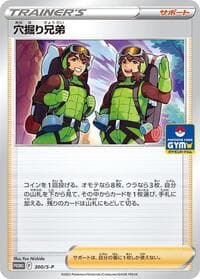 Digging Duo - 300/S-P - S-P: Sword & Shield Promos - Pokemon Japan card