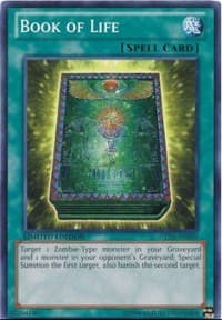 Book of Life - Gold Series: Haunted Mine - YuGiOh card