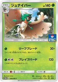 Decidueye - 028/SM-P - SM-P: Sun & Moon Promos - Pokemon Japan card