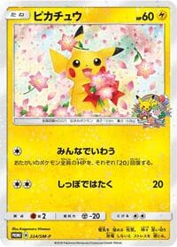 Pikachu - 224/SM-P - SM-P: Sun & Moon Promos - Pokemon Japan card