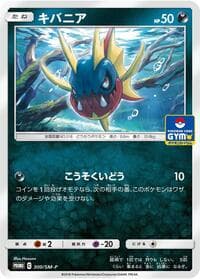 Carvanha - 300/SM-P - SM-P: Sun & Moon Promos - Pokemon Japan card