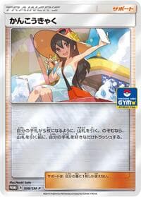 Sightseer - 308/SM-P - SM-P: Sun & Moon Promos - Pokemon Japan card