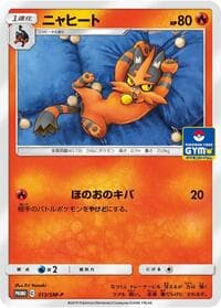 Torracat - 313/SM-P - SM-P: Sun & Moon Promos - Pokemon Japan card