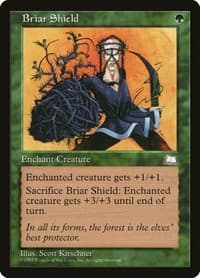 Briar Shield - Weatherlight - Magic: The Gathering card