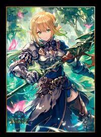 Shadowverse EVOLVE Boxtopper Sleeves: Cynthia, the Queen's Blade (10-Pack) - Bushiroad Card Sleeves - Card Sleeves card