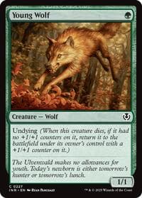 Young Wolf - Innistrad Remastered - Magic: The Gathering card