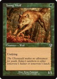 Young Wolf (Retro Frame) - Innistrad Remastered - Magic: The Gathering card