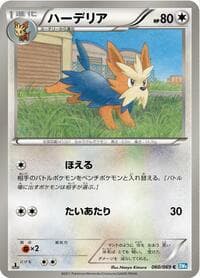 Herdier - BW4: Dark Rush - Pokemon Japan card