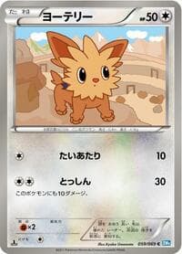 Lillipup - BW4: Dark Rush - Pokemon Japan card