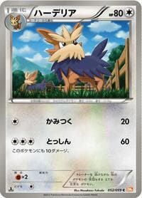 Herdier - BW6: Cold Flare - Pokemon Japan card