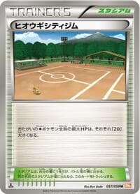 Aspertia City Gym - BW6: Cold Flare - Pokemon Japan card