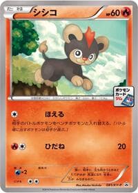 Litleo - 081/XY-P - XY-P: XY Promos - Pokemon Japan card