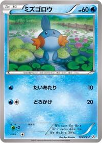 Mudkip - 109/XY-P - XY-P: XY Promos - Pokemon Japan card