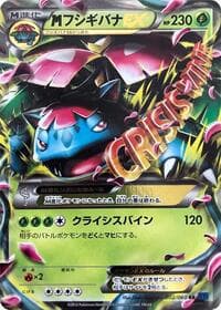 M Venusaur EX - XY-Bx: Collection X - Pokemon Japan card