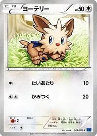 Lillipup - XY-Bx: Collection X - Pokemon Japan card