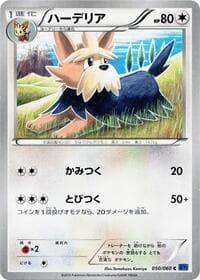 Herdier - XY-Bx: Collection X - Pokemon Japan card
