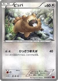 Bidoof - XY-By: Collection Y - Pokemon Japan card