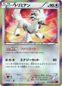 Furfrou - XY-By: Collection Y - Pokemon Japan card