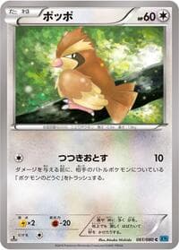 Pidgey - XY2: Wild Blaze - Pokemon Japan card