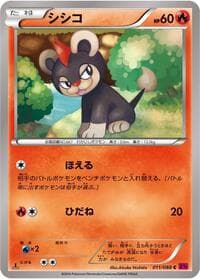 Litleo - XY4: Phantom Gate - Pokemon Japan card