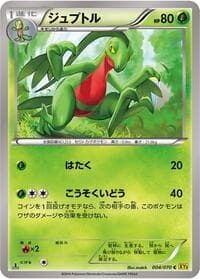 Grovyle - XY5-Bg: Gaia Volcano - Pokemon Japan card