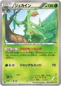 Sceptile - XY5-Bg: Gaia Volcano - Pokemon Japan card