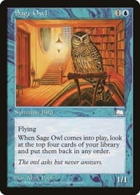 Sage Owl - Weatherlight - Magic: The Gathering card