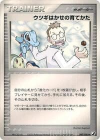 Professor Elm's Training Method - Golden Sky, Silvery Ocean - Pokemon Japan card