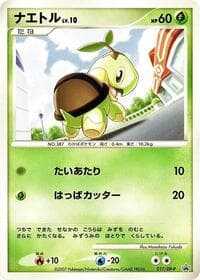 Turtwig - 017/DP-P - DP-P Promotional cards - Pokemon Japan card
