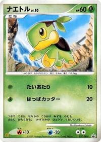 Turtwig - 027/DP-P - DP-P Promotional cards - Pokemon Japan card