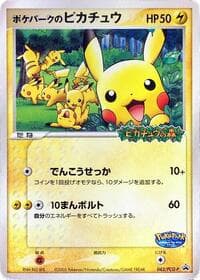 PokePark's Pikachu - 043/PCG-P - PCG-P Promotional cards - Pokemon Japan card
