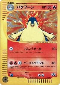 Typhlosion - 017/P - P Promotional cards - Pokemon Japan card