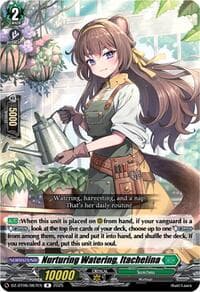 Nurturing Watering, Itachelina - DZ-BT06: Generation Dragenesis - Cardfight Vanguard card