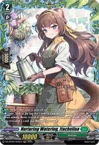 Nurturing Watering, Itachelina (FR) - DZ-BT06: Generation Dragenesis - Cardfight Vanguard card