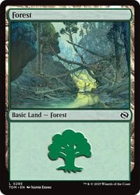 Forest (0285) - Tarkir: Dragonstorm - Magic: The Gathering card