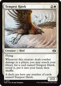 Tempest Hawk - Tarkir: Dragonstorm - Magic: The Gathering card