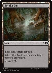 Bojuka Bog - Commander: Tarkir: Dragonstorm - Magic: The Gathering card