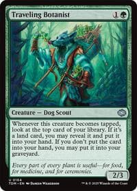 Traveling Botanist - Tarkir: Dragonstorm - Magic: The Gathering card