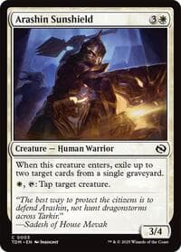 Arashin Sunshield - Tarkir: Dragonstorm - Magic: The Gathering card