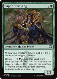 Sage of the Fang - Tarkir: Dragonstorm - Magic: The Gathering card