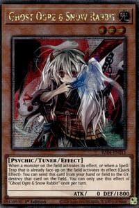 Ghost Ogre & Snow Rabbit (Quarter Century Secret Rare) - Quarter Century Stampede - YuGiOh card