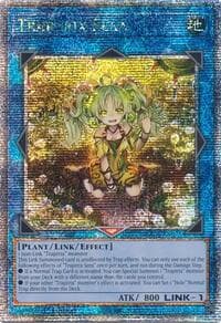 Traptrix Sera (Quarter Century Secret Rare) - Quarter Century Stampede - YuGiOh card