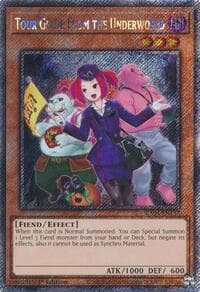 Tour Guide from the Underworld (Alternate Art) (Platinum Secret Rare) - Quarter Century Stampede - YuGiOh card