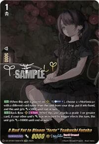 A Bud Yet to Bloom "forte" Tsukushi Futaba (EXS) - DZ-BT08: Knights 0f Rebirth - Cardfight Vanguard card