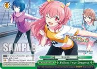 Follow Your Dreams! (RRR) - HATSUNE MIKU: COLORFUL STAGE! - Weiss Schwarz card