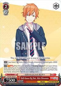 Well-Known Big Shot, Akito Shinonome - HATSUNE MIKU: COLORFUL STAGE! - Weiss Schwarz card