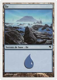 Island (French) - "Ile" (G60) - Magic Encyclopedia 2005 (Salvat/Hachette) - Magic: The Gathering card