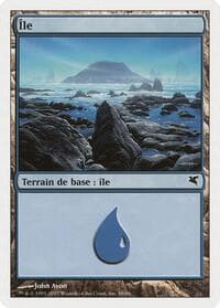Island (French) - "Ile" (E58) - Magic Encyclopedia 2005 (Salvat/Hachette) - Magic: The Gathering card