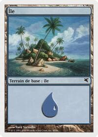 Island (French) - "Ile" (G48) - Magic Encyclopedia 2005 (Salvat/Hachette) - Magic: The Gathering card