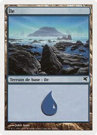 Island (French) - "Ile" (E45) - Magic Encyclopedia 2005 (Salvat/Hachette) - Magic: The Gathering card